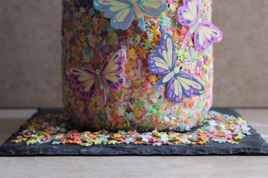25th Birthday Cake. Chocolate Biscuit Cake, coated in sprinkles, stars and butterflies.