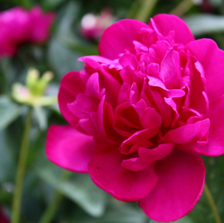 13dda517-b48e-414b-9c3c-25fe459ab588