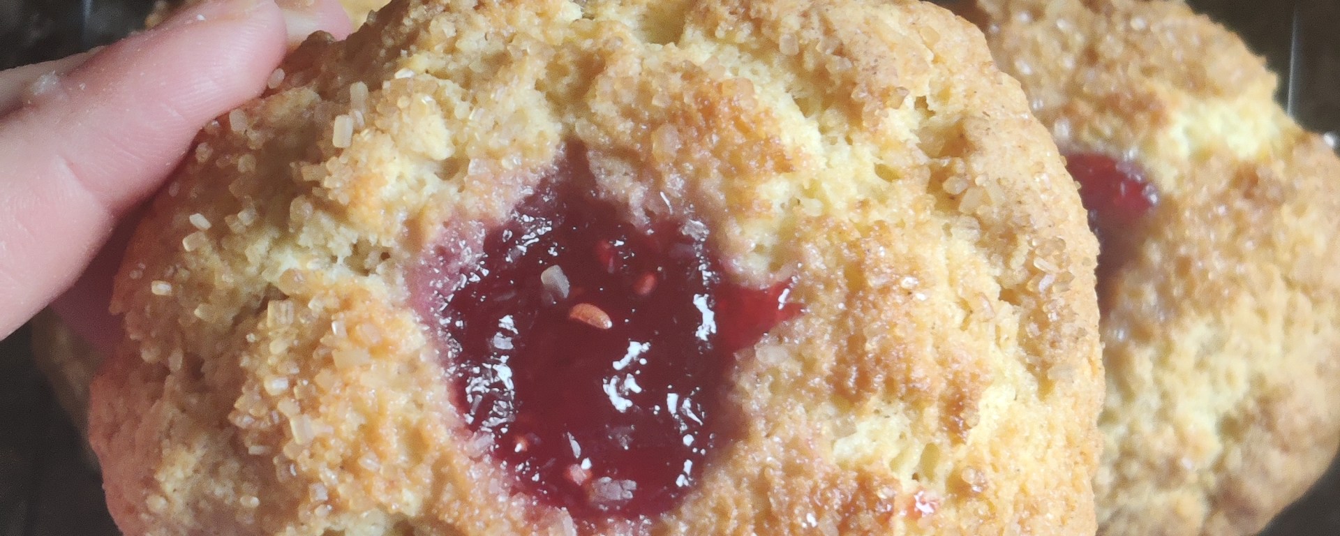 Raspberry Thumb Print Cookies